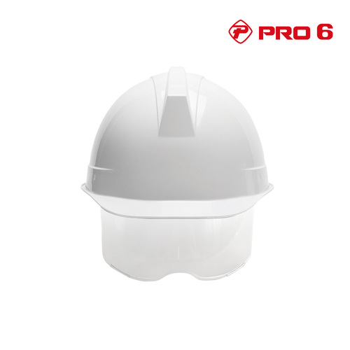 PRO6-H002 프로식스 보안경 겸용 안전모 ABE등급 인쇄